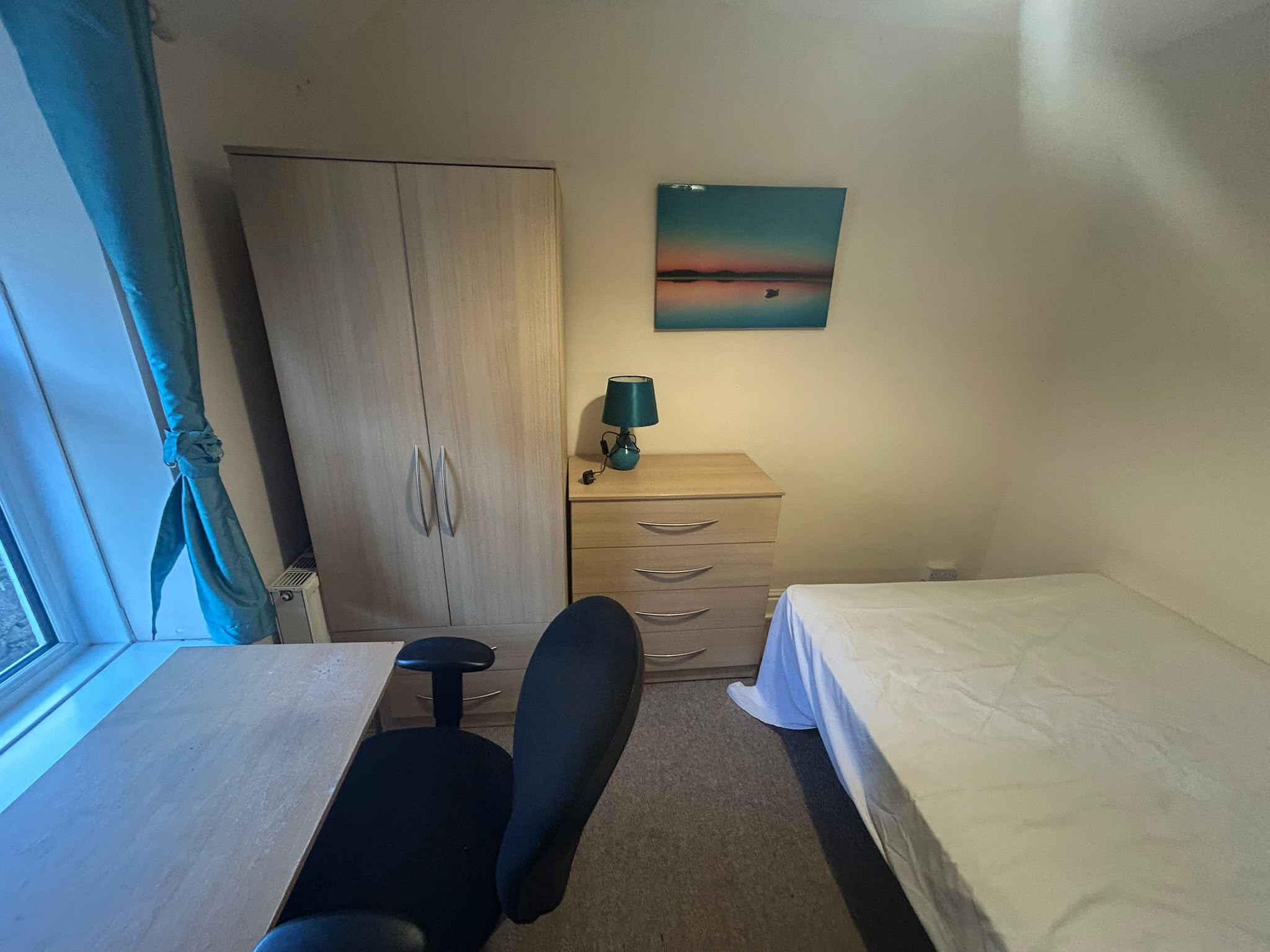 Bryn Syfi Terrace, Swansea photo 5