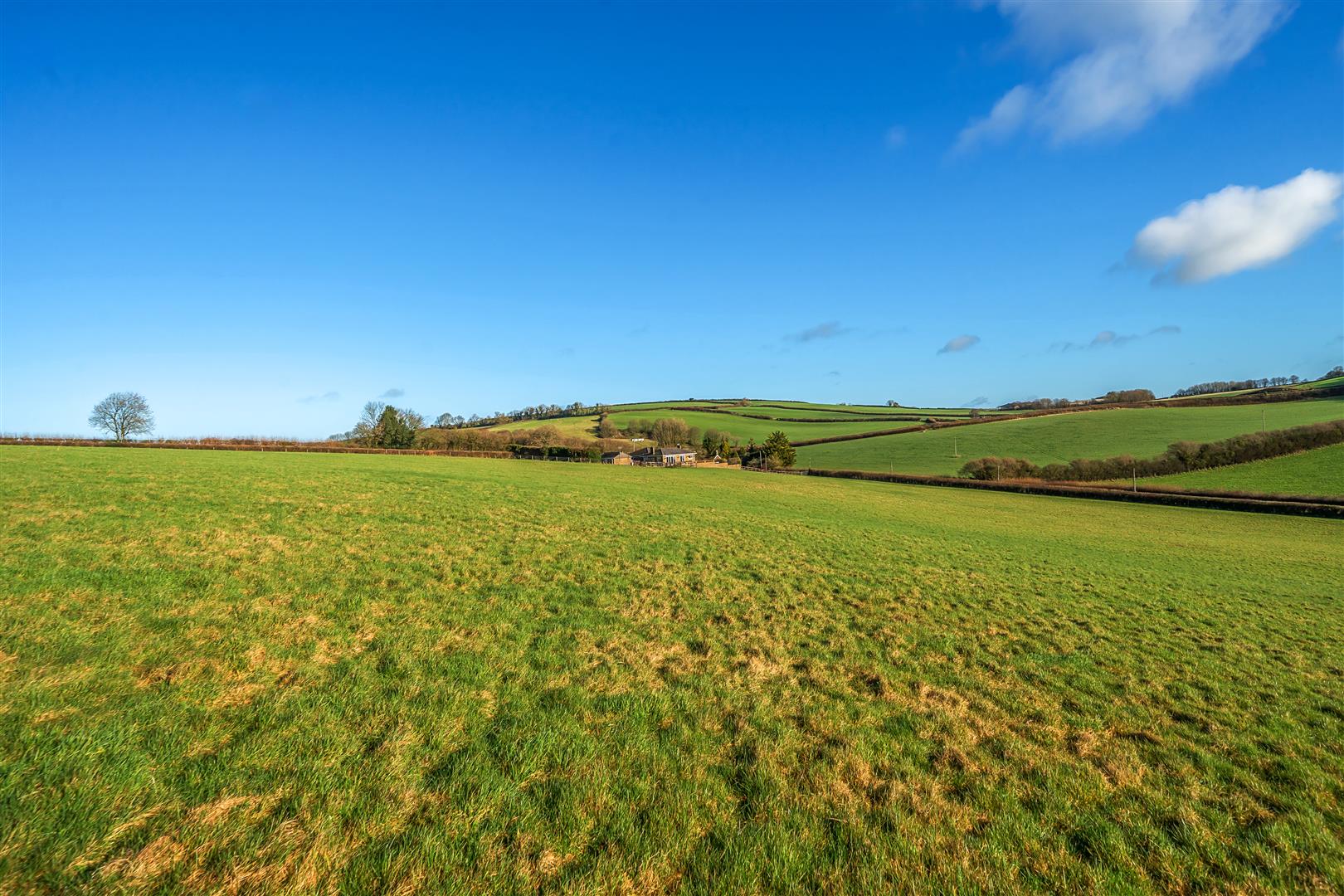 Photos of Henley, Dorchester DT2 66623796 PrimeLocation