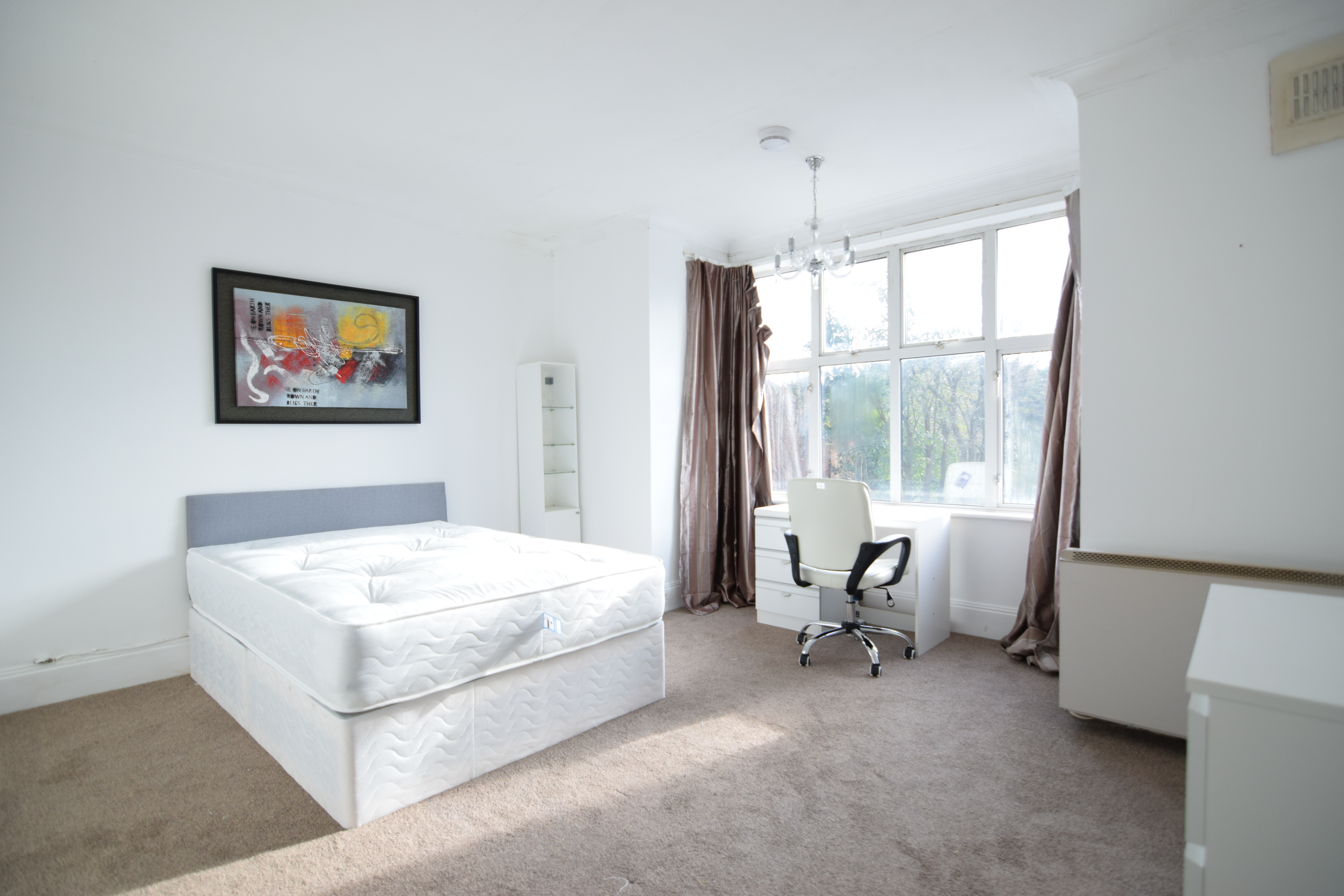 Holland road, Hove, Hove photo 5