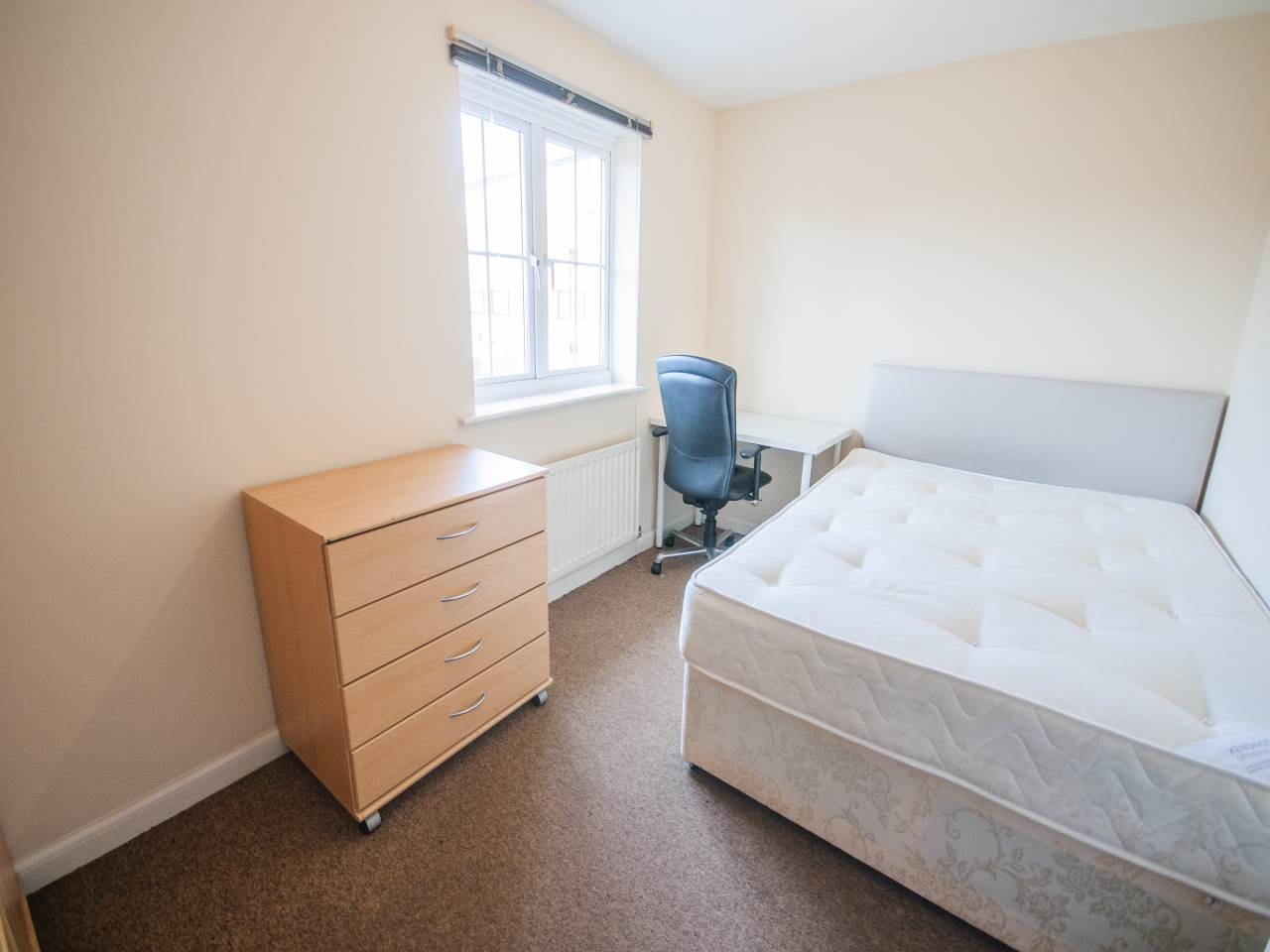 8 Errington Close photo 5