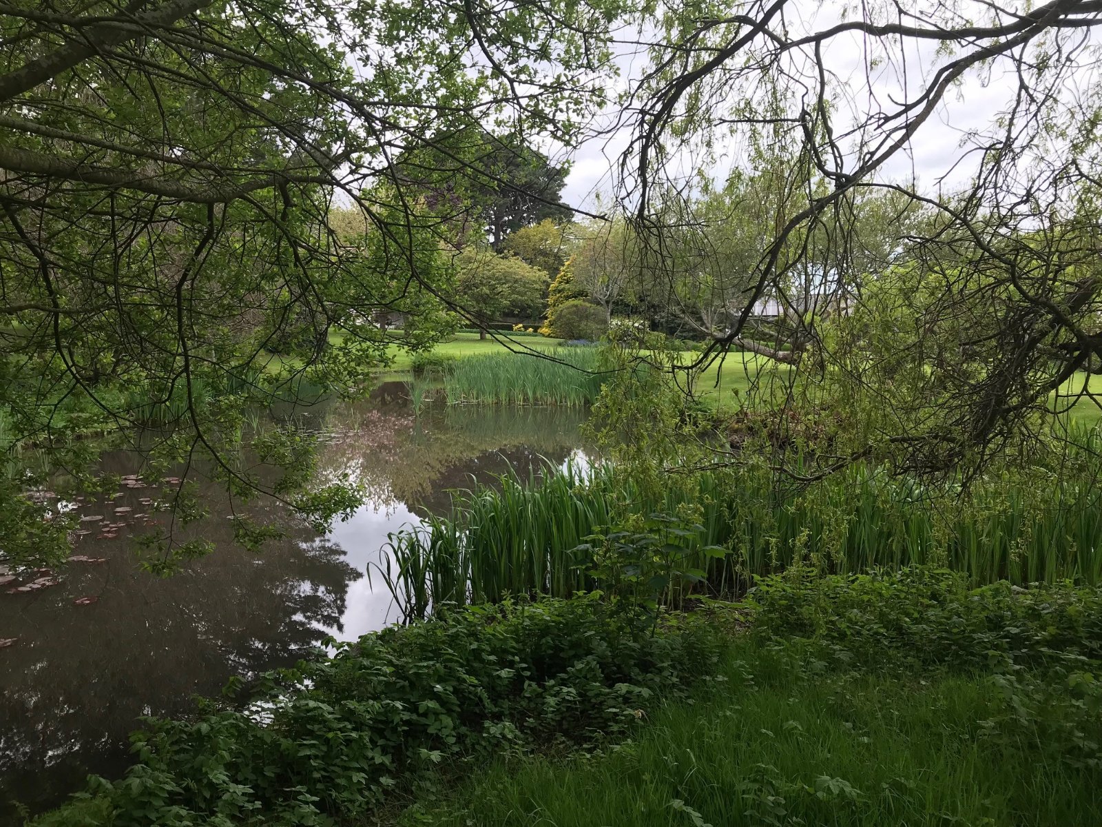 Photos of Bossington Lane, Porlock, Minehead, Somerset TA24 66176199