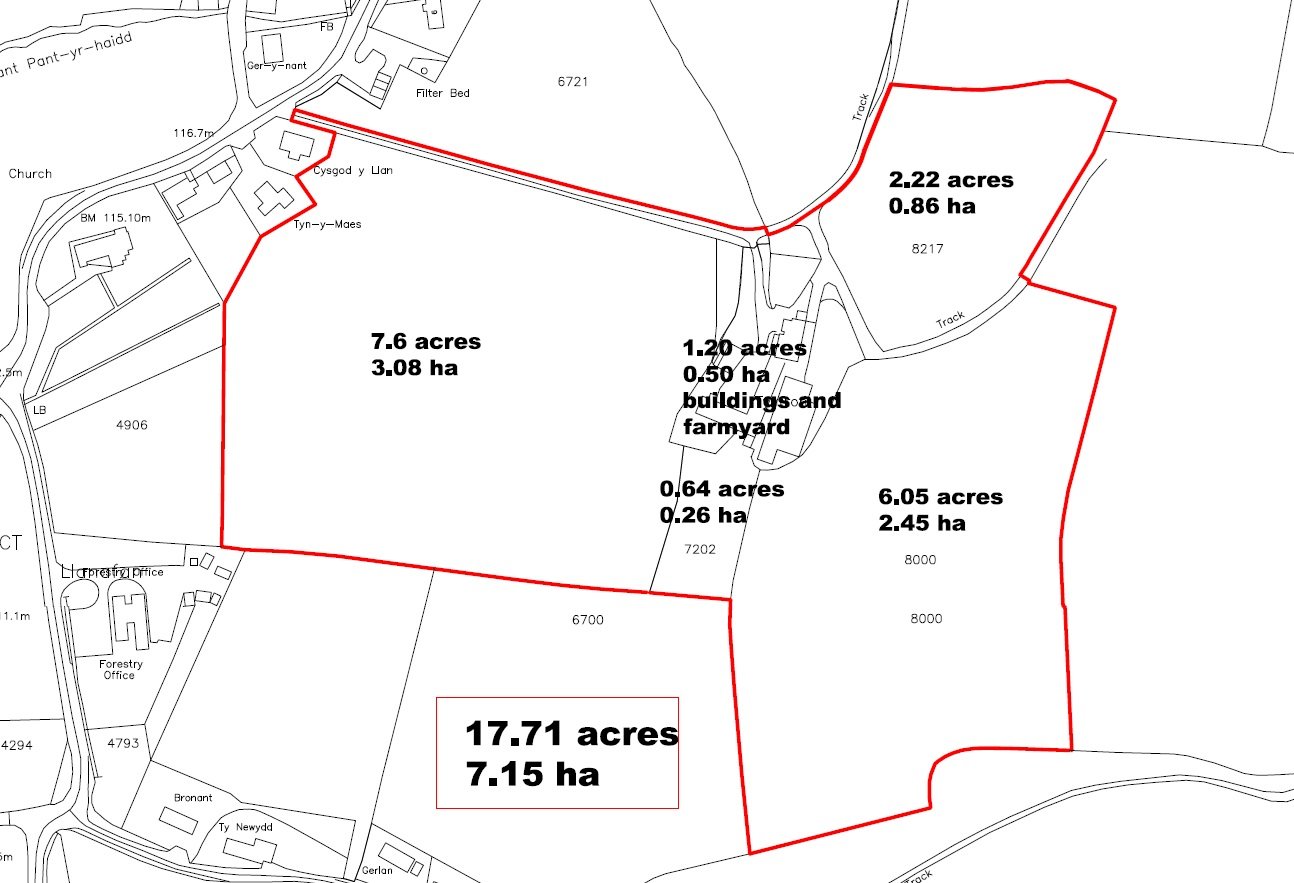 Tynfron, Llanafan, Aberystwyth floorplan