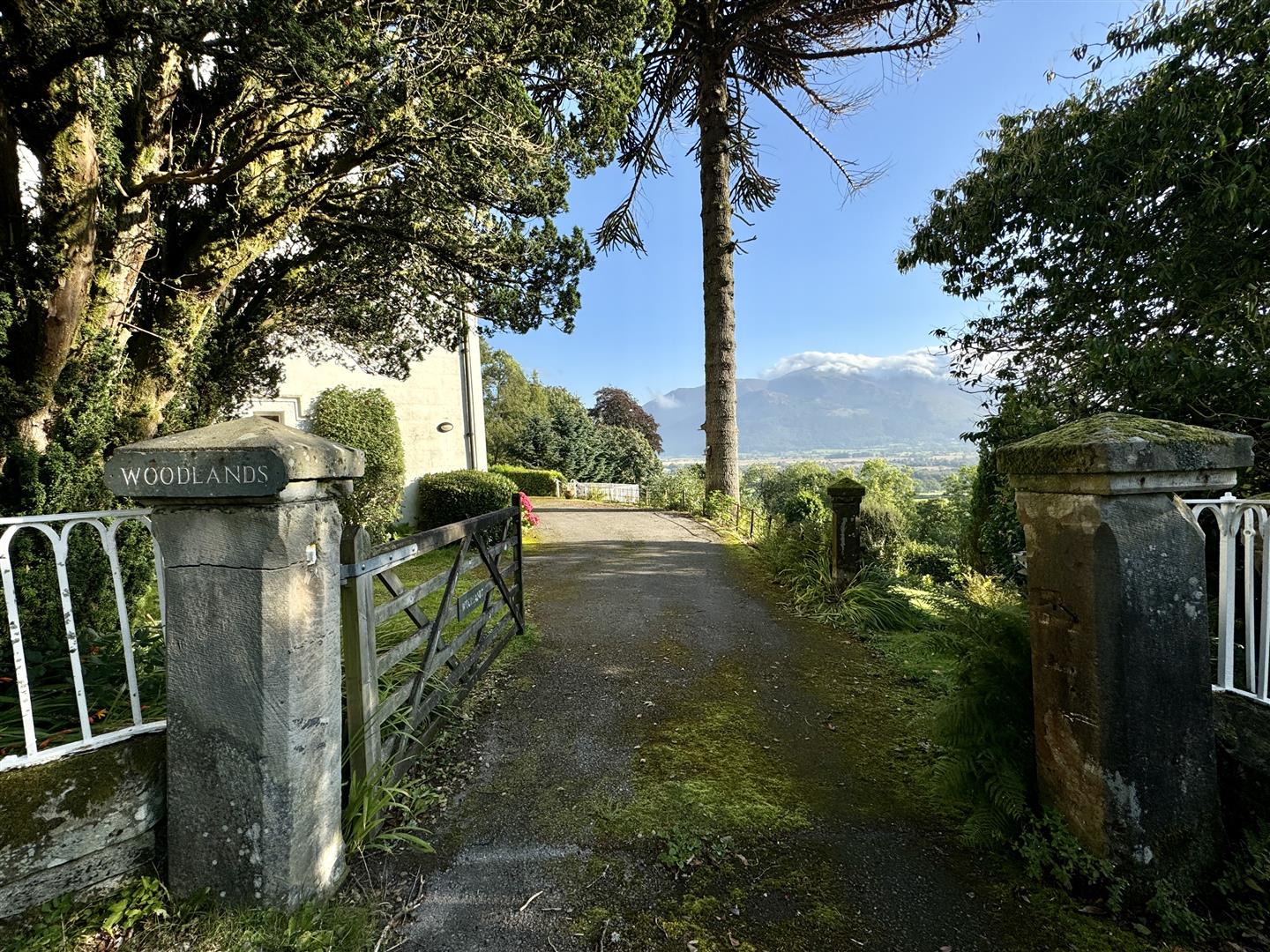 4 bedroom detached house for sale 0