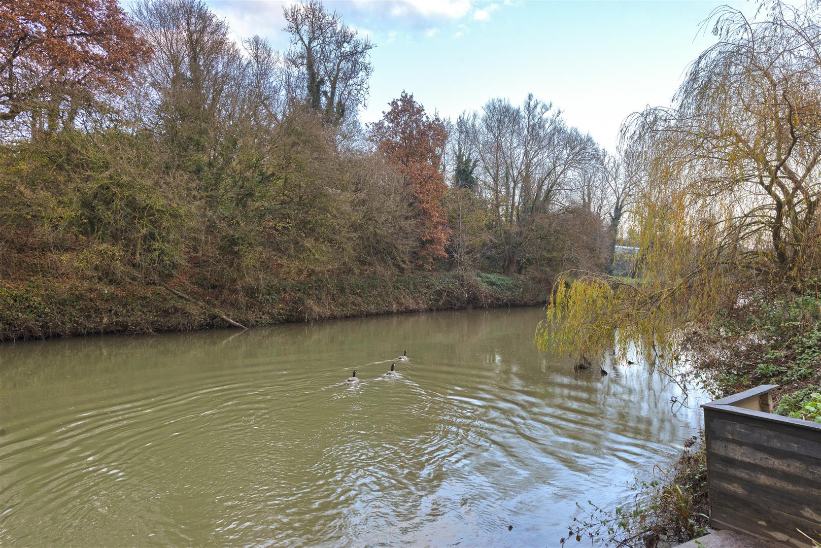 Photos of Priory Close, East Farleigh, Maidstone ME15 66210989