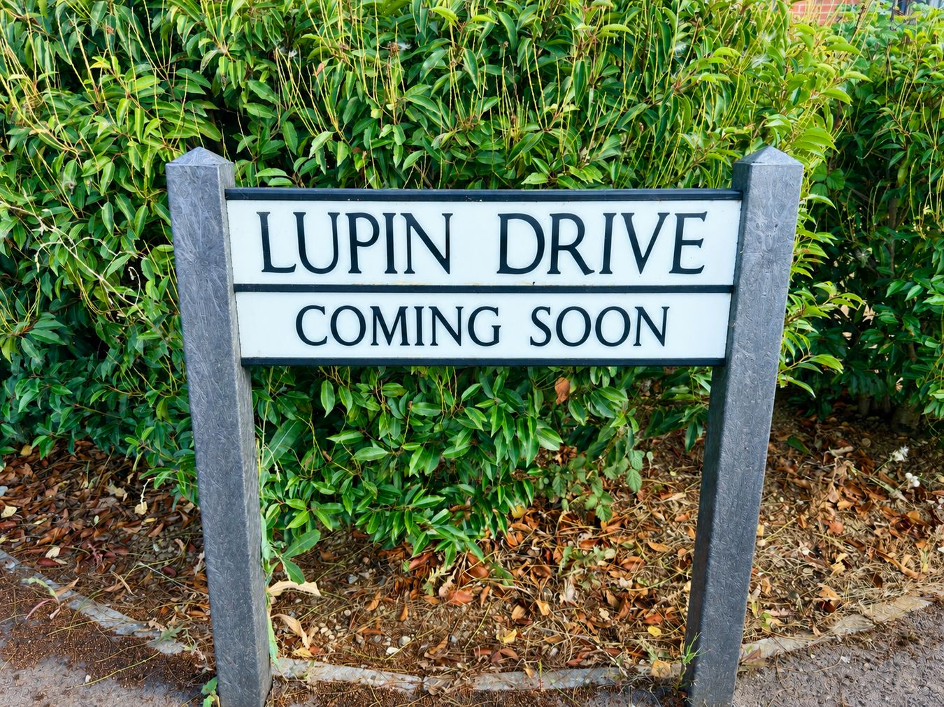 Lupin Drive, Tewkesbury photo 2