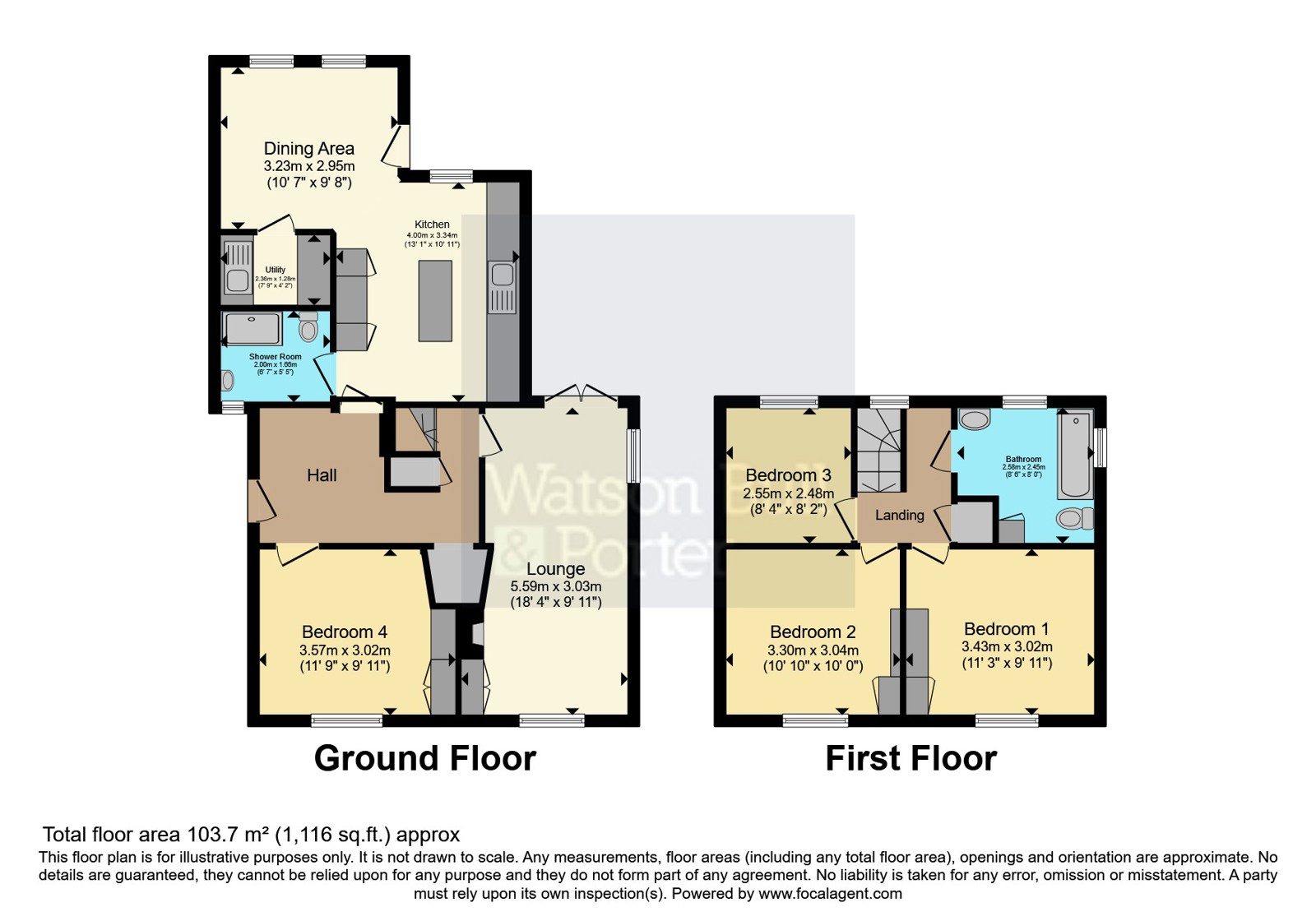 5, Elm Grove, Isle of Wight floorplan