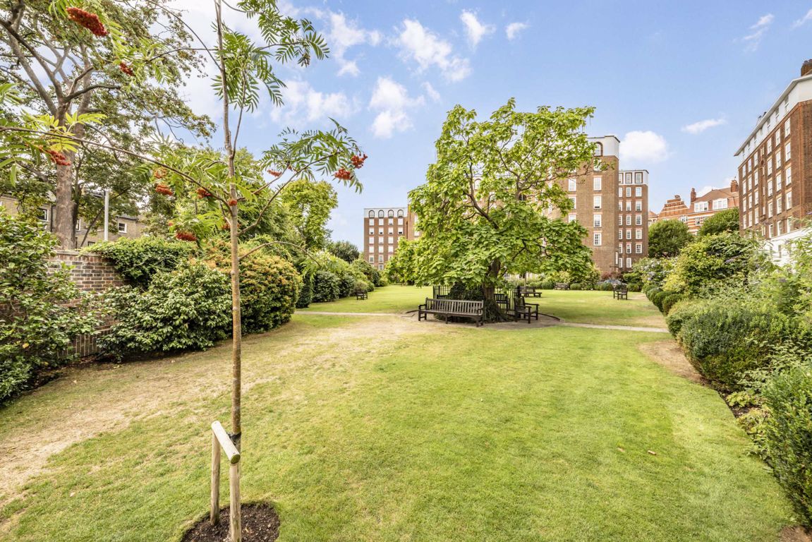 Photos of Fitzjames Avenue, London W14 62256140 PrimeLocation