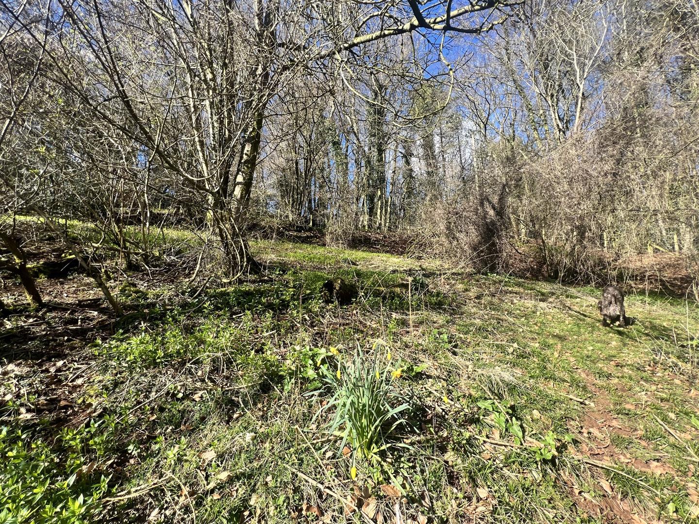 Photos of Wigpool, Mitcheldean GL17 64297467 PrimeLocation