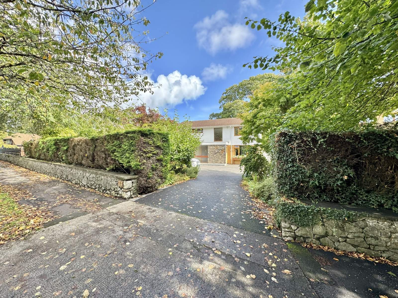 33, Derwen Fawr Road, Swansea photo 4