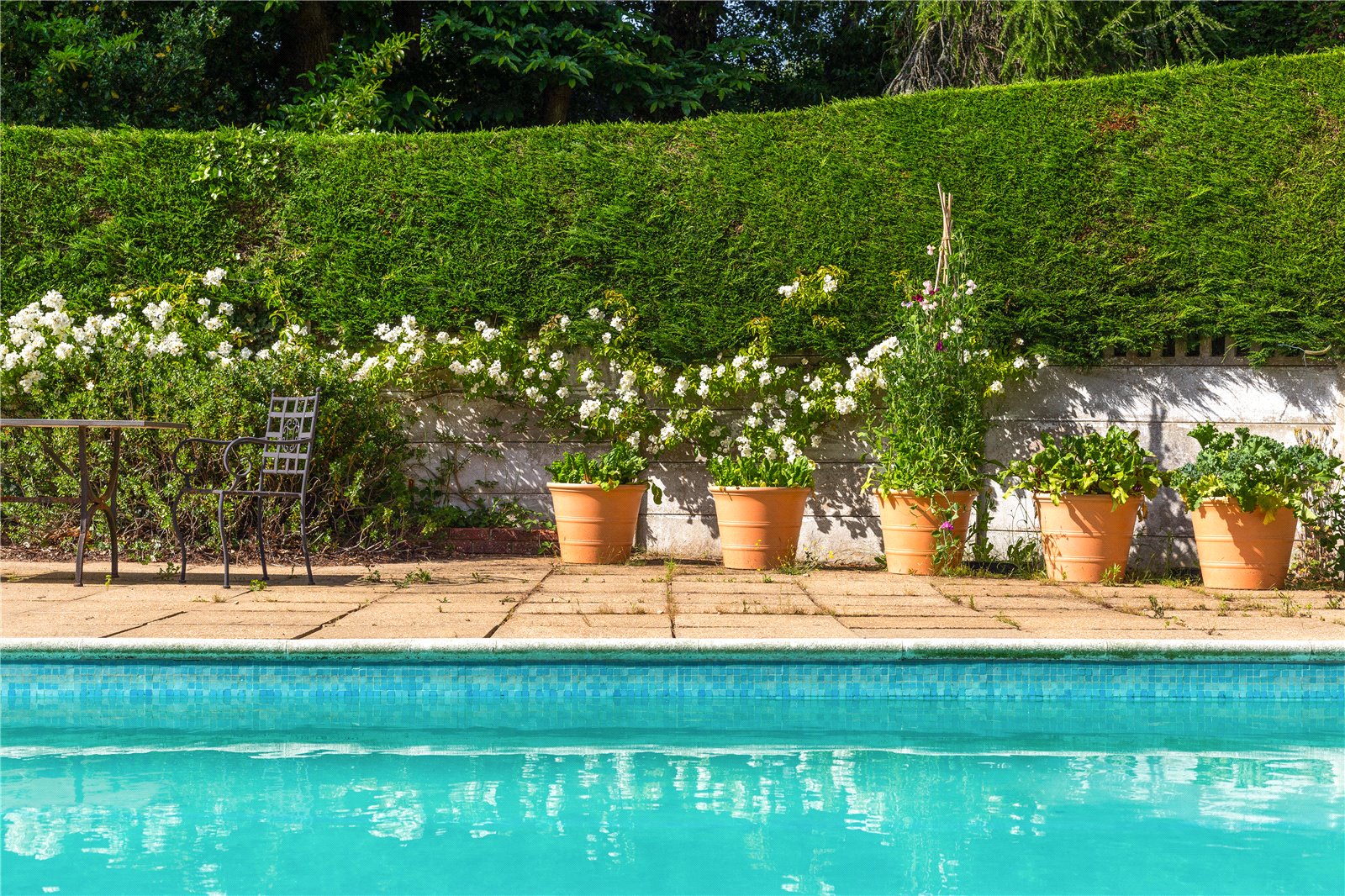 Photos of Liphook Road, Headley, Hampshire GU35 61740018 PrimeLocation