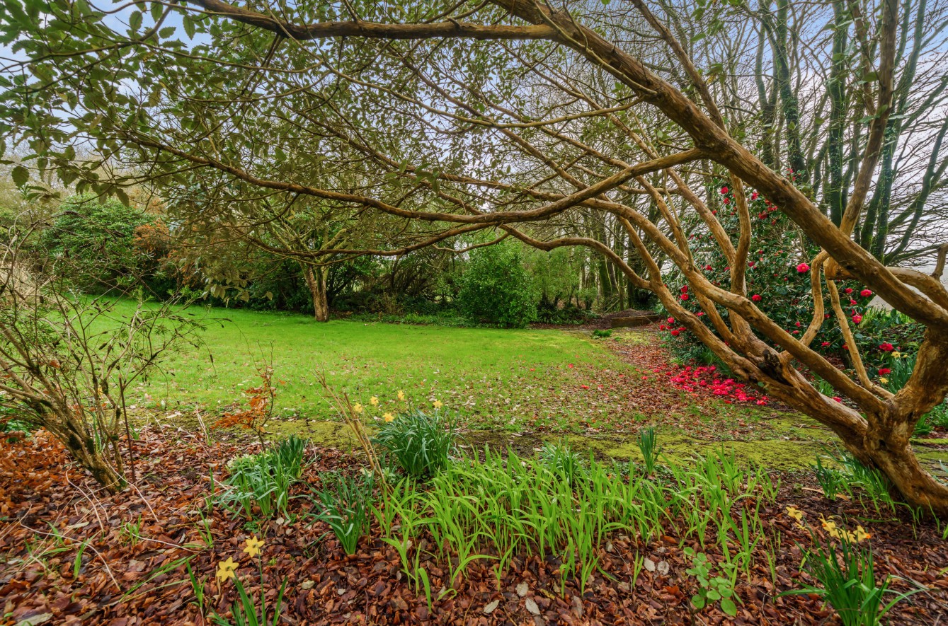 Photos of Herodsfoot, Liskeard, Cornwall PL14 64260040 PrimeLocation