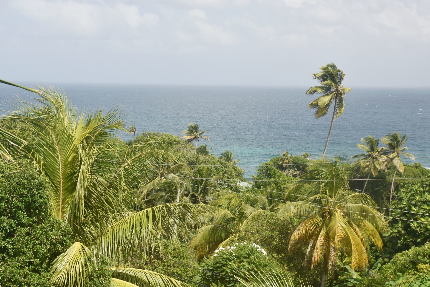 Photos of Mt Rodney, Saint Patricks, Grenada - 53471891 | PrimeLocation