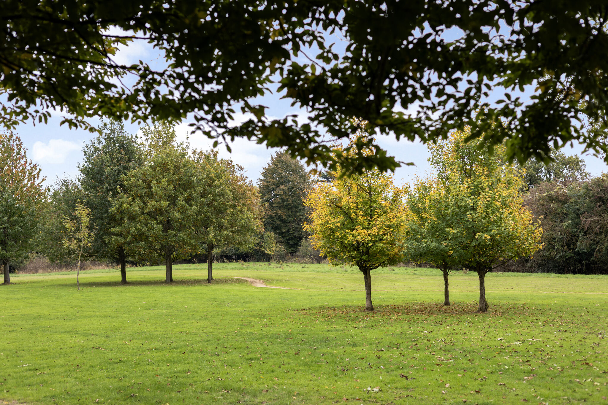 6 bedroom detached house for sale 0