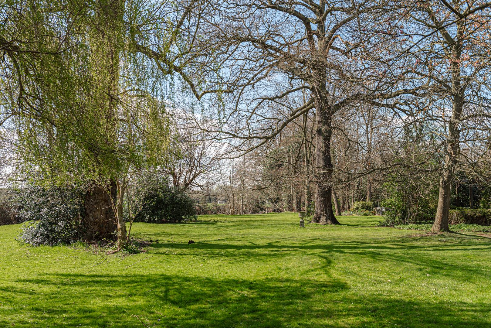 Photos of Molesey Park Road, East Molesey KT8 64349318 PrimeLocation