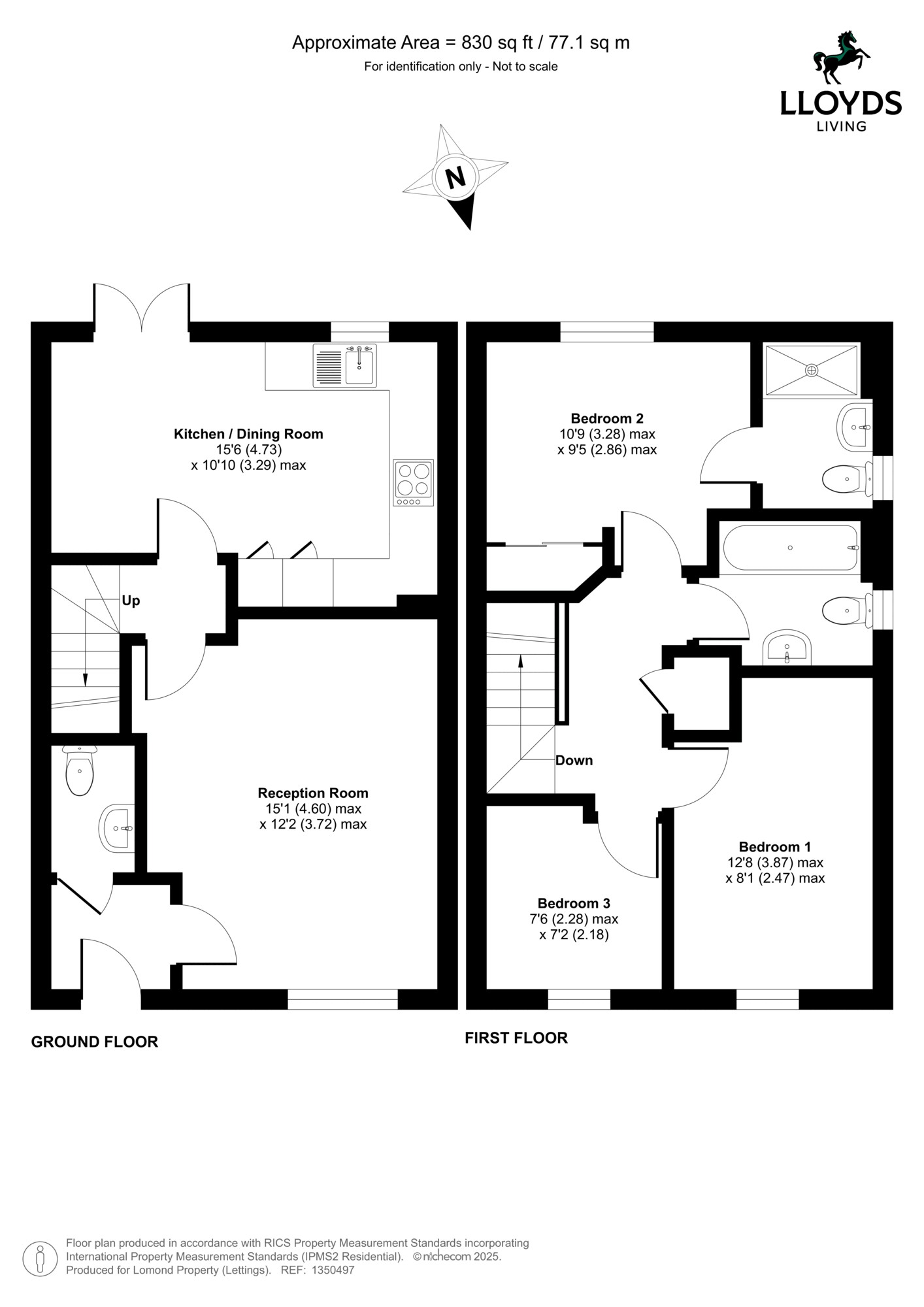 Unknown, Maidstone floorplan