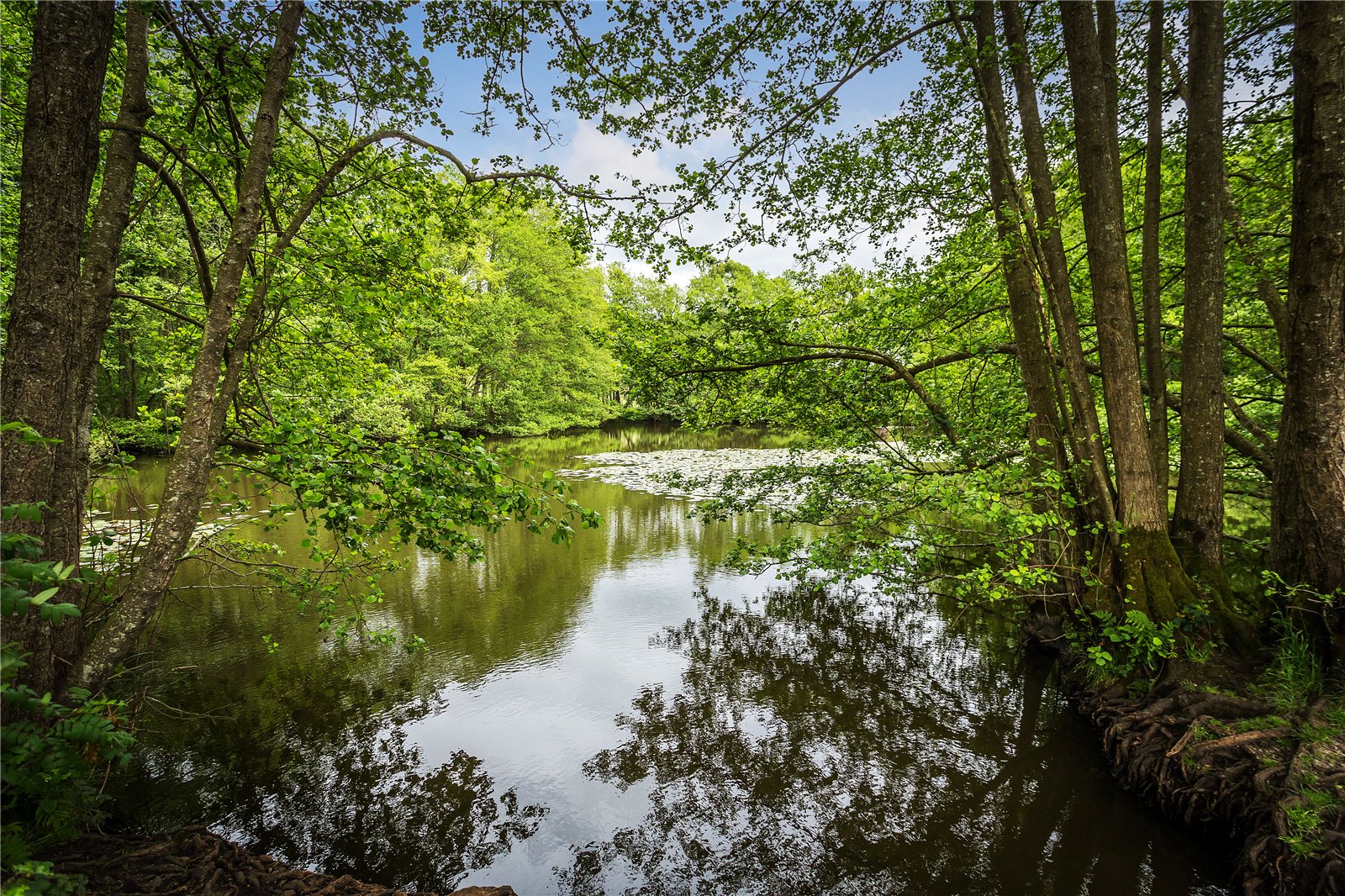 Photos of The Old Enton Estate, Enton, Godalming, Surrey GU8 - 61829449 ...