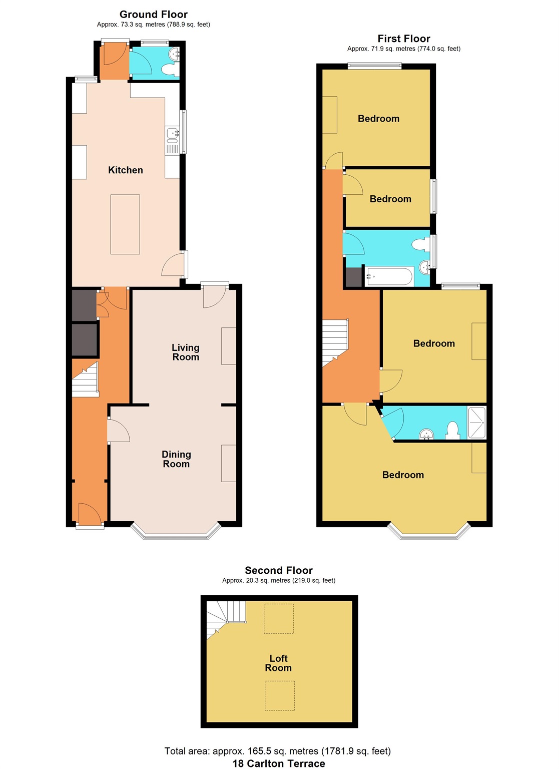 18, Carlton Terrace, Newport floorplan