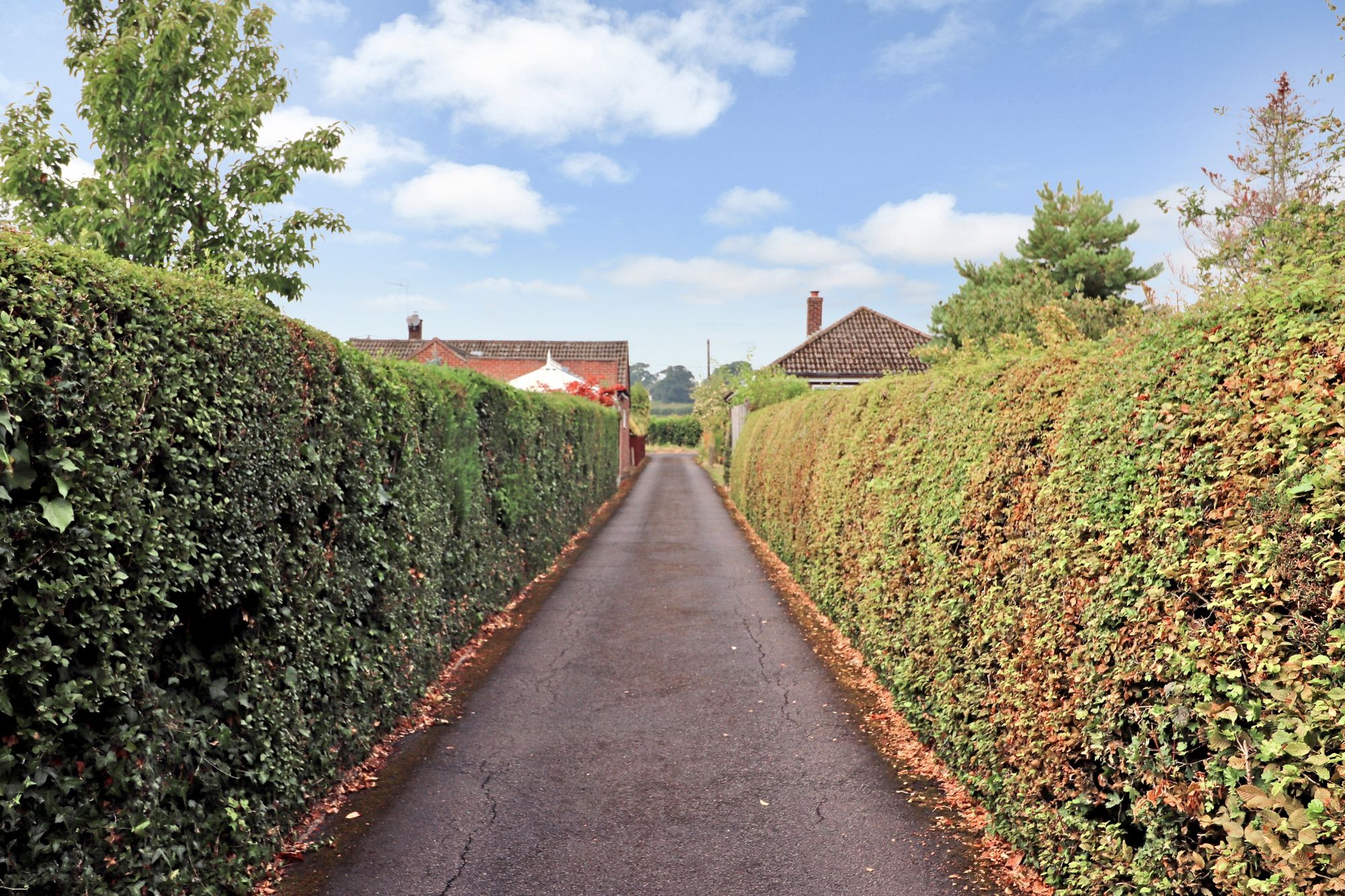 Photos of Durley Brook Road, Durley SO32 64041465 PrimeLocation