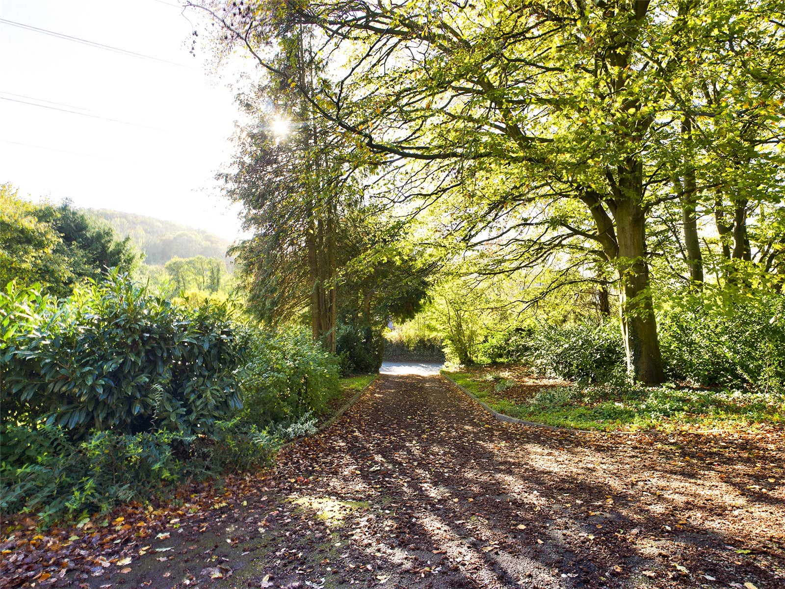 Photos of Coughton, RossOnWye, Herefordshire HR9 62987308