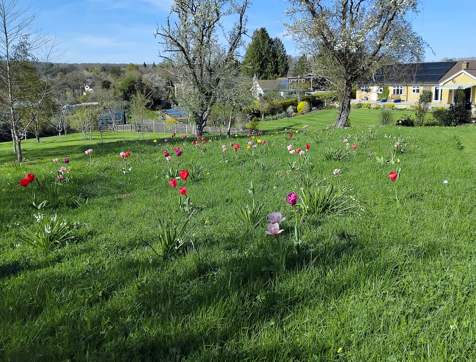 4 bedroom bungalow for sale 0