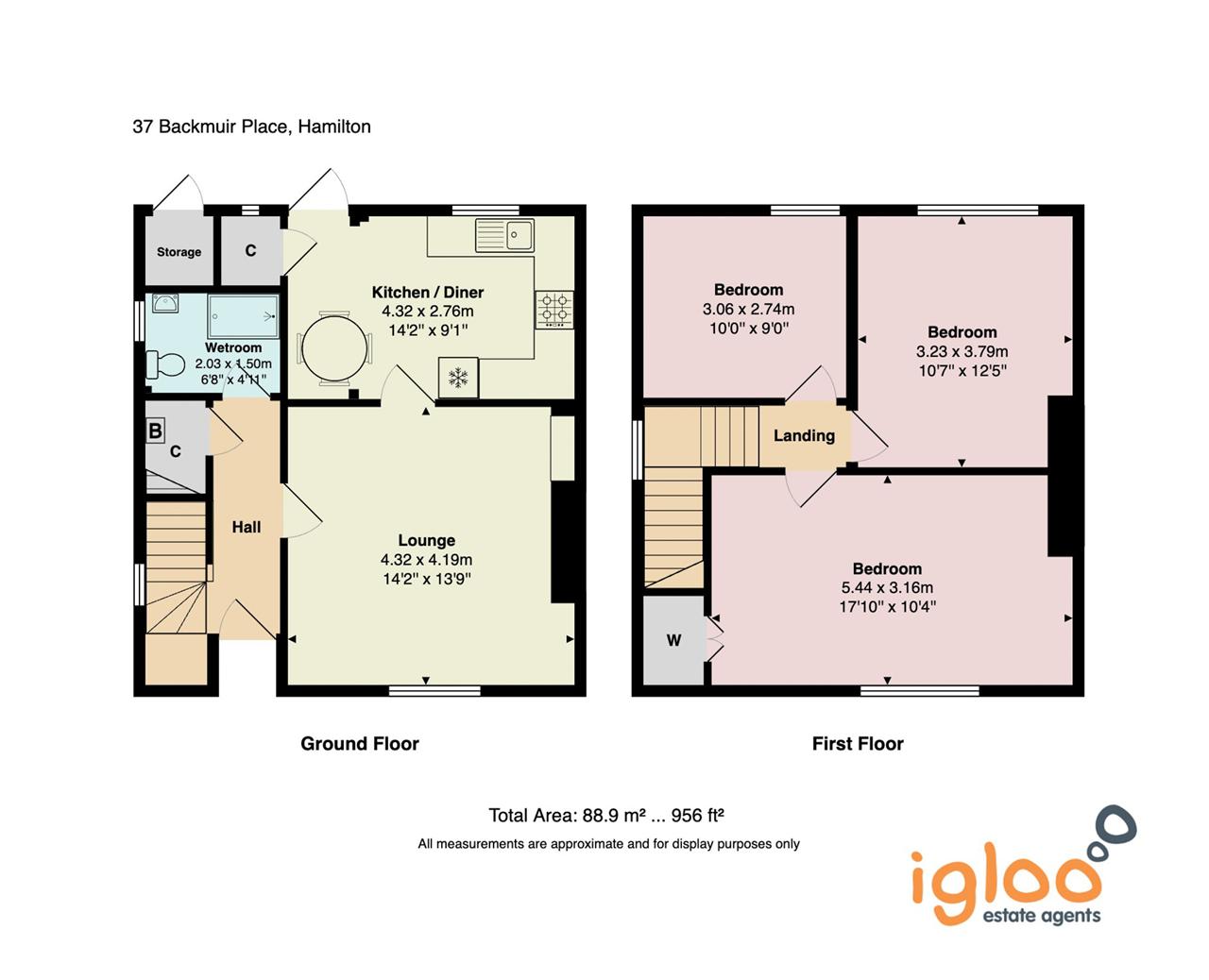 37, Backmuir Road, Hamilton floorplan