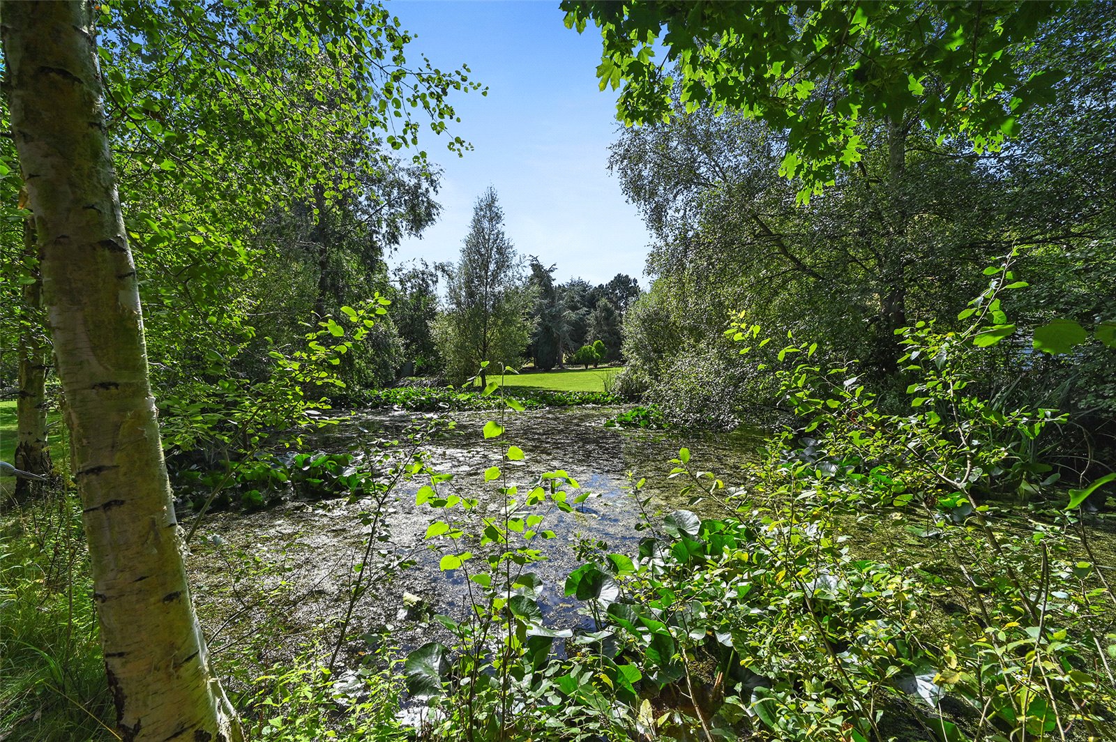 5 bedroom detached house for sale 0