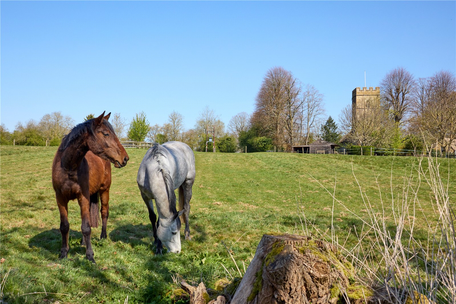 4 bedroom detached house for sale 0