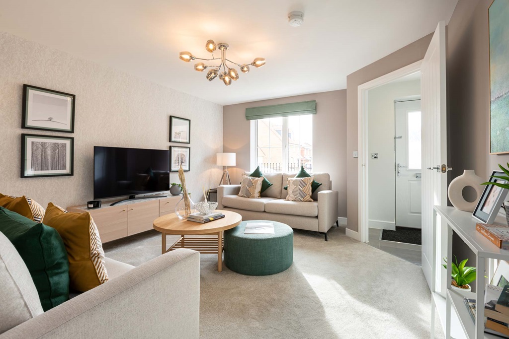 Plenty Of Space For Two Sofas