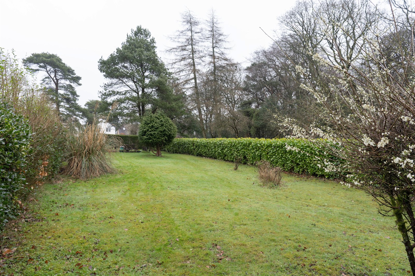 Photos of Monument Lane, Lickey B45 66938755 PrimeLocation